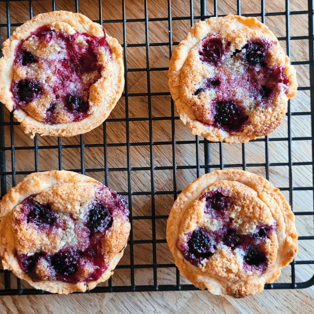 French tartelettes with sourdough and blackberries fresh from the oven