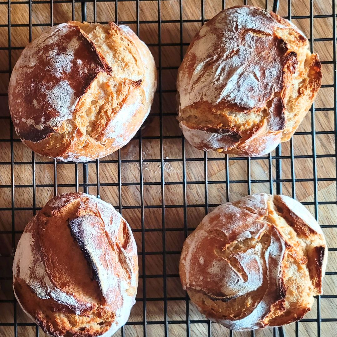 Rustikale Roggenbrötchen – Rezept wie vom Bäcker
