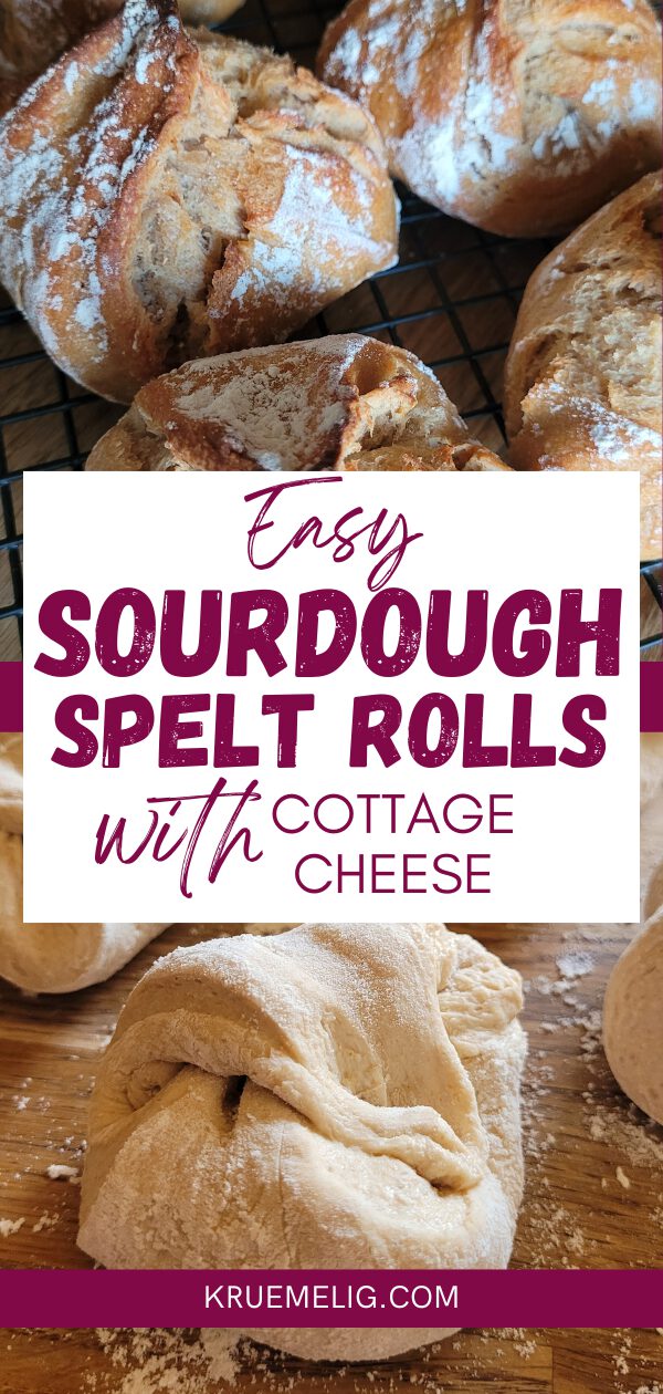 Easy Sourdough Spelt Rolls with Cottage Cheese