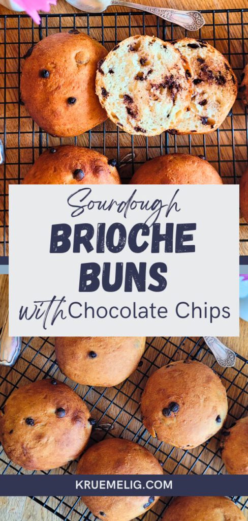 Vegan Sourdough Brioche Buns with Chocolate Chips