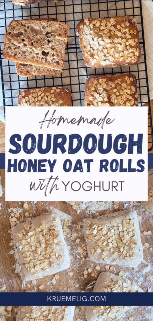 Healthy honey oat rolls with sourdough