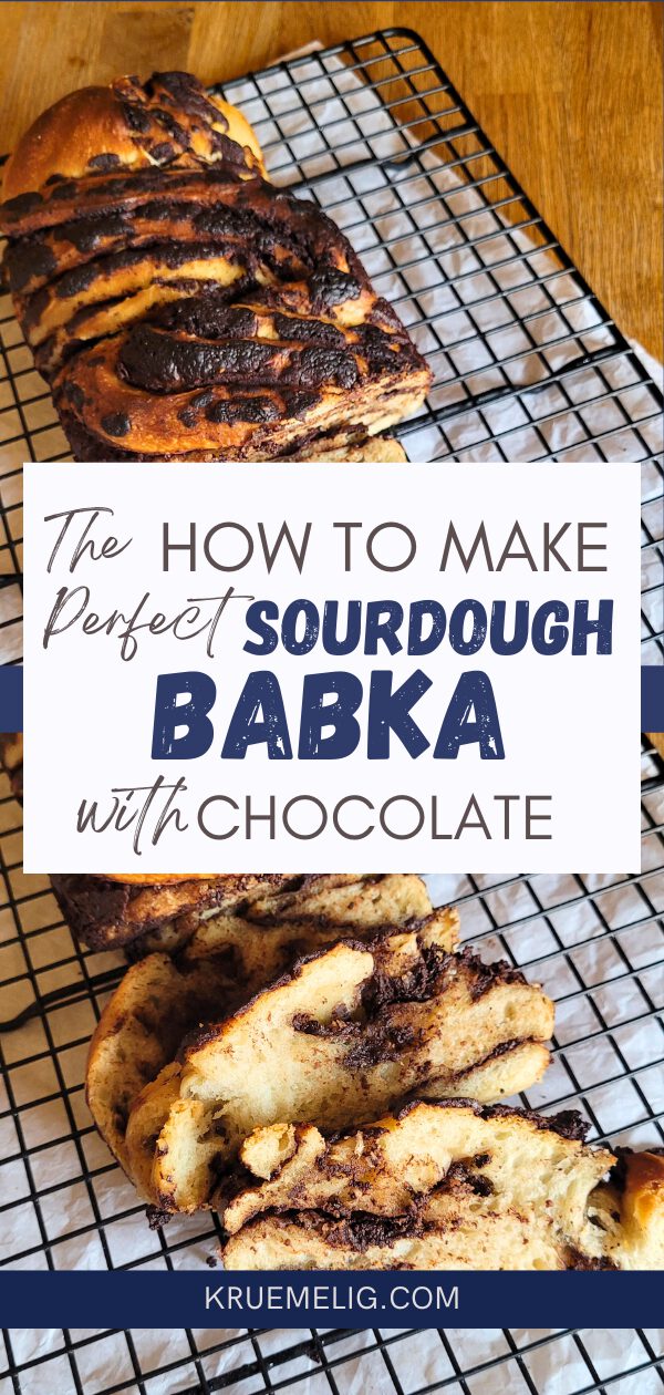 The perfect sourdough babka