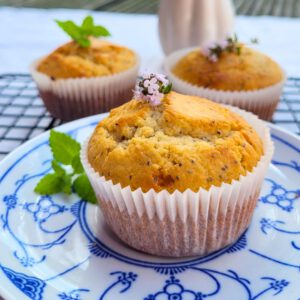 Zitronen Mohn Muffins mit Sauerteig