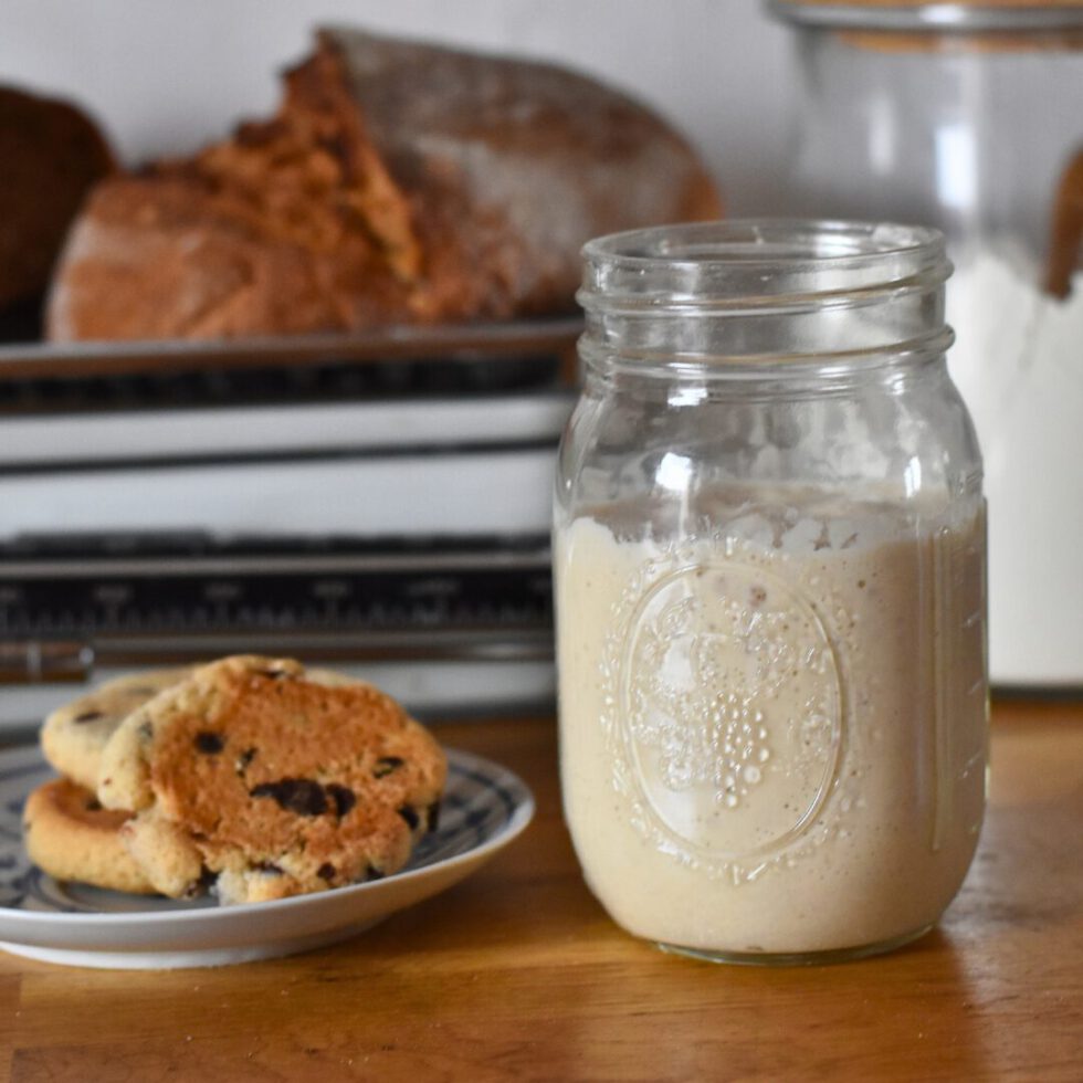 Luftige Brötchen mit Sauerteig über Nacht - KRÜMELIG