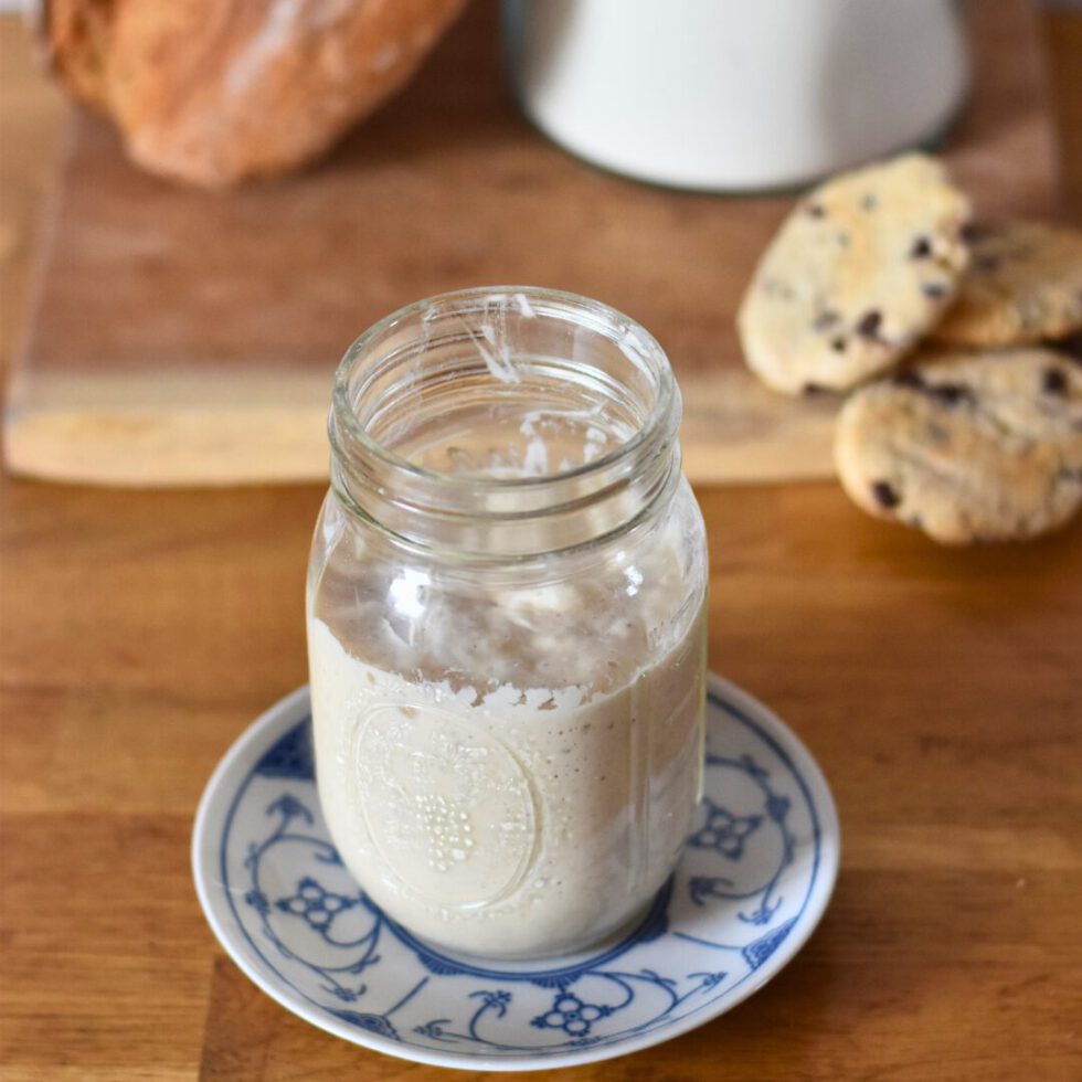 Sauerteig umzüchten – Roggen, Weizen, Dinkel und glutenfrei - KRÜMELIG