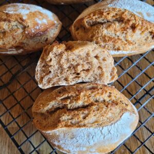 Dinkelvollkornbrötchen mit Sauerteig